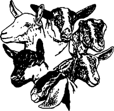 American Dairy Goat Association